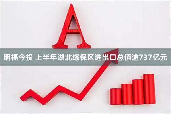 明福今投 上半年湖北综保区进出口总值逾737亿元