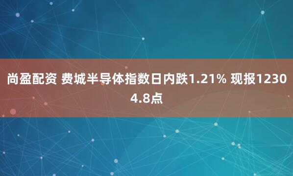 尚盈配资 费城半导体指数日内跌1.21% 现报12304.8点